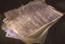 FOTO & DOCUMENTE | Botezul din 1971 | Cum s-a născut cel mai iubit club de fotbal din judeţul Buzău